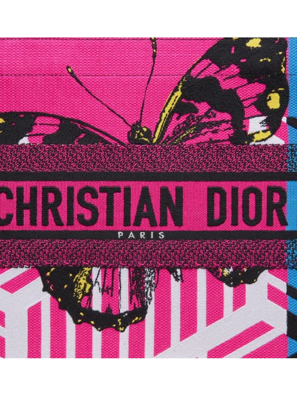 Сумка Christian Dior